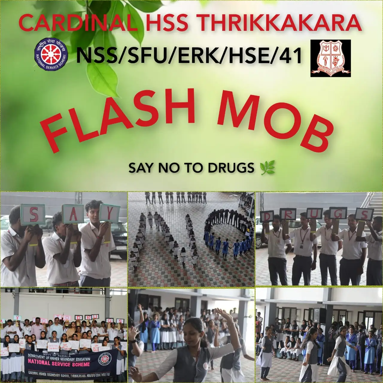 nss (1)