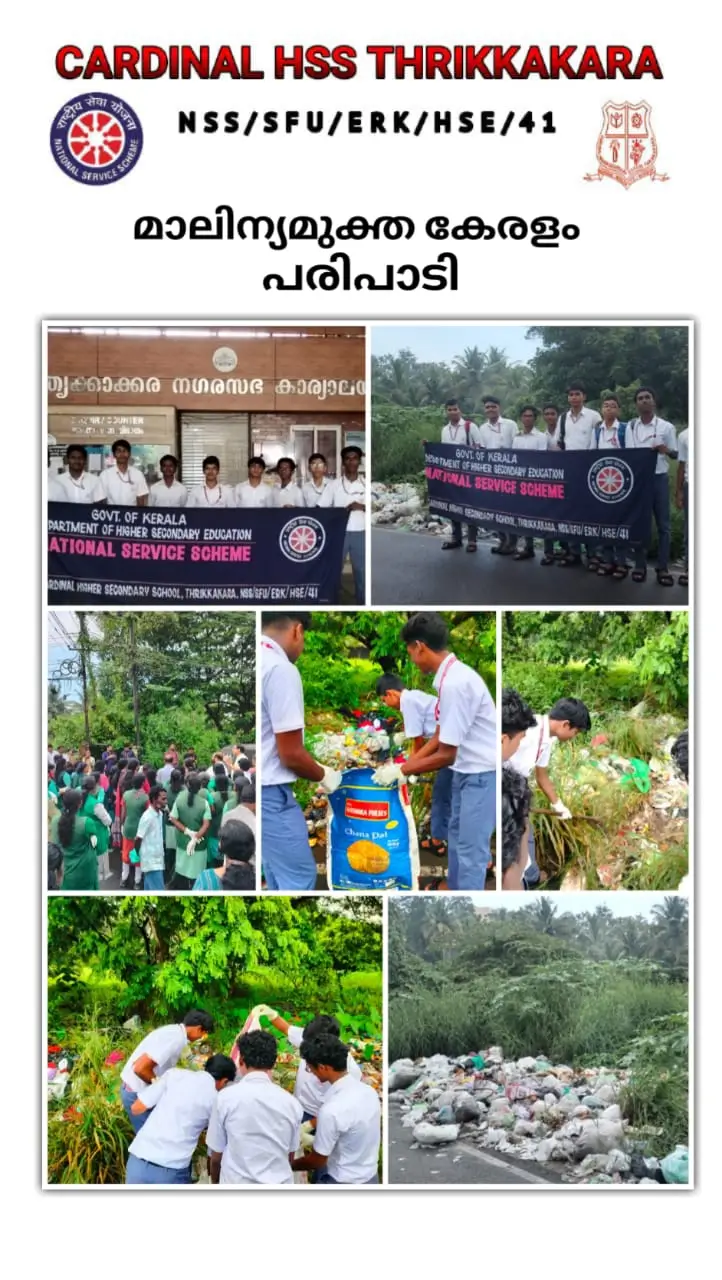 nss (14)