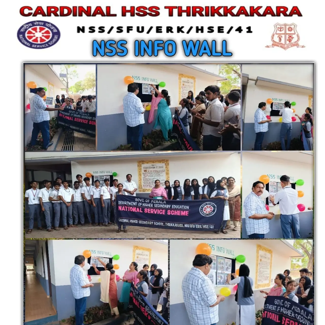 nss (15)