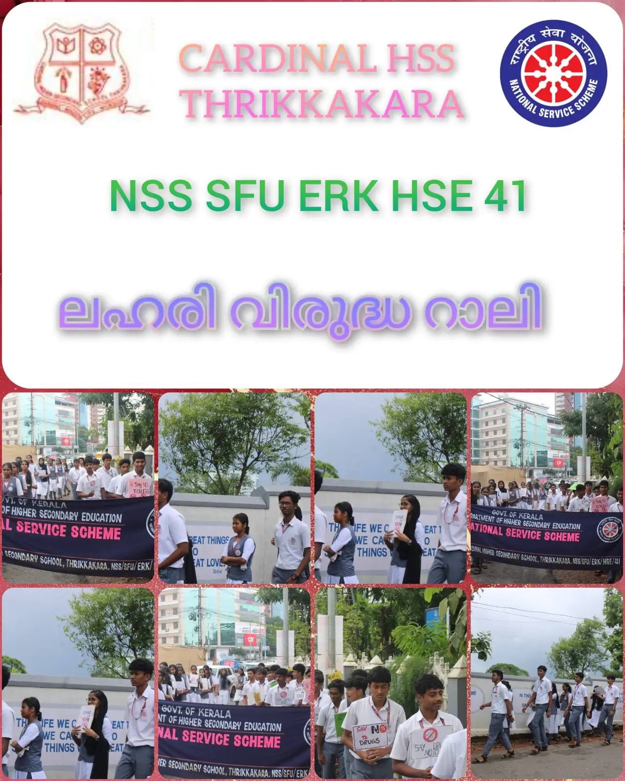nss (3)