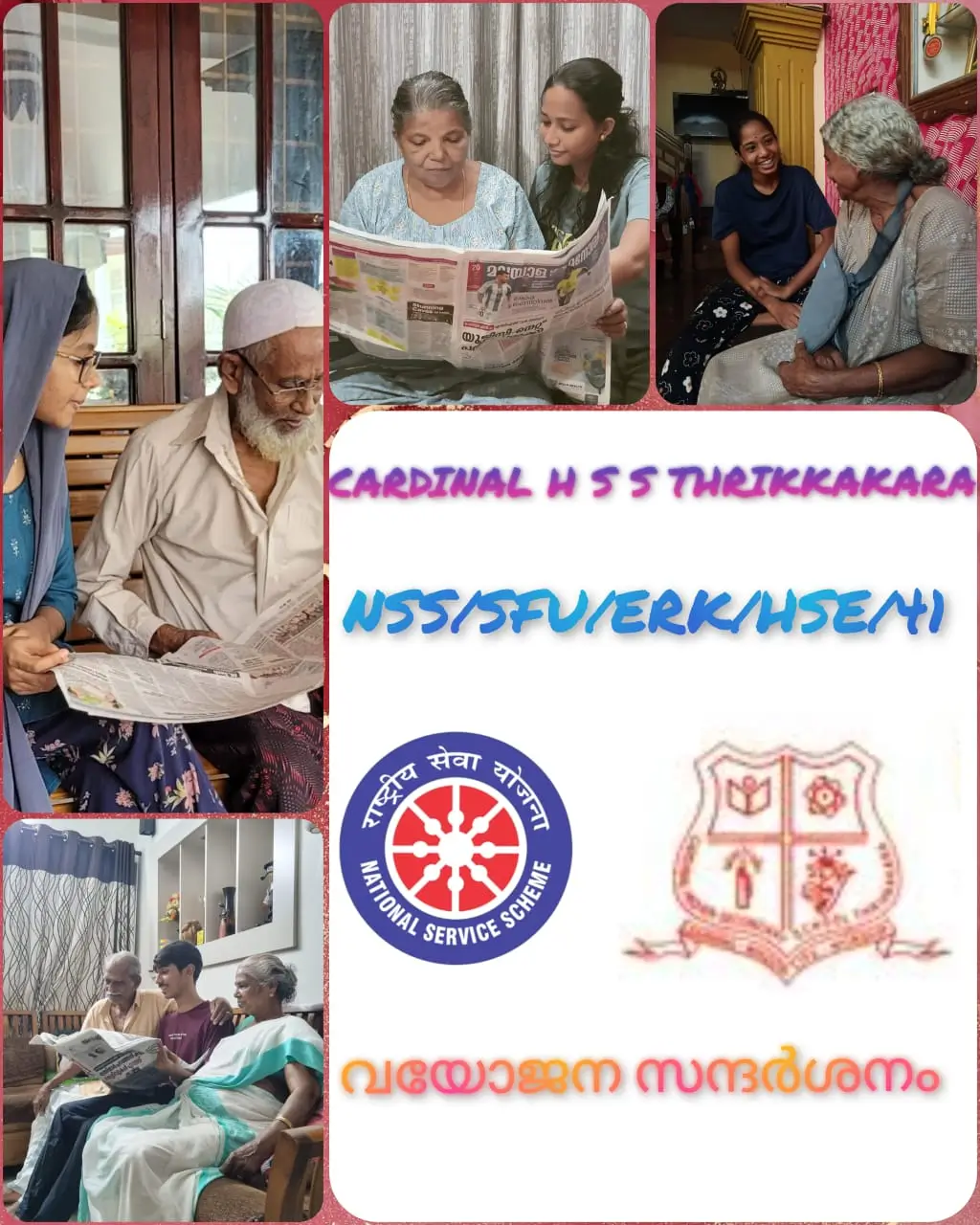 nss (5)